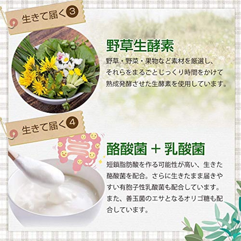麹とコンブチャの生酵素 5