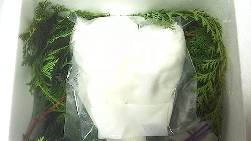 山の恵 長野県 冷凍松茸 2