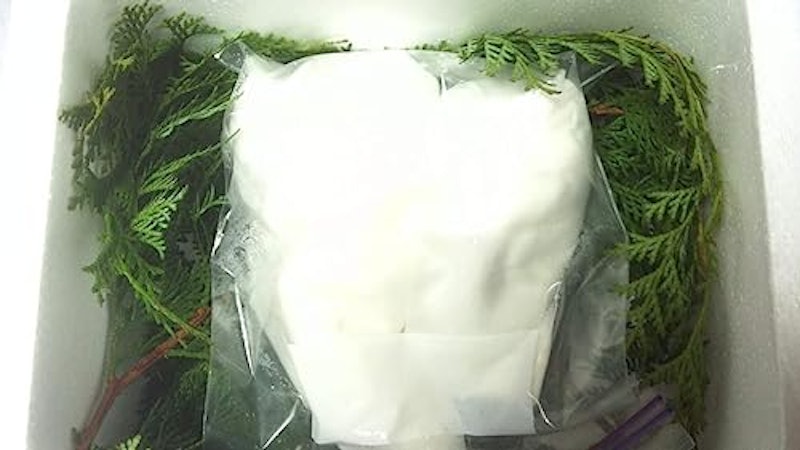 山の恵 長野県 冷凍松茸 2