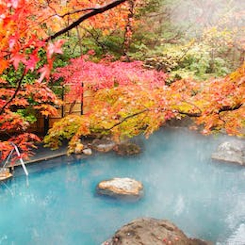 那須温泉 山楽 6