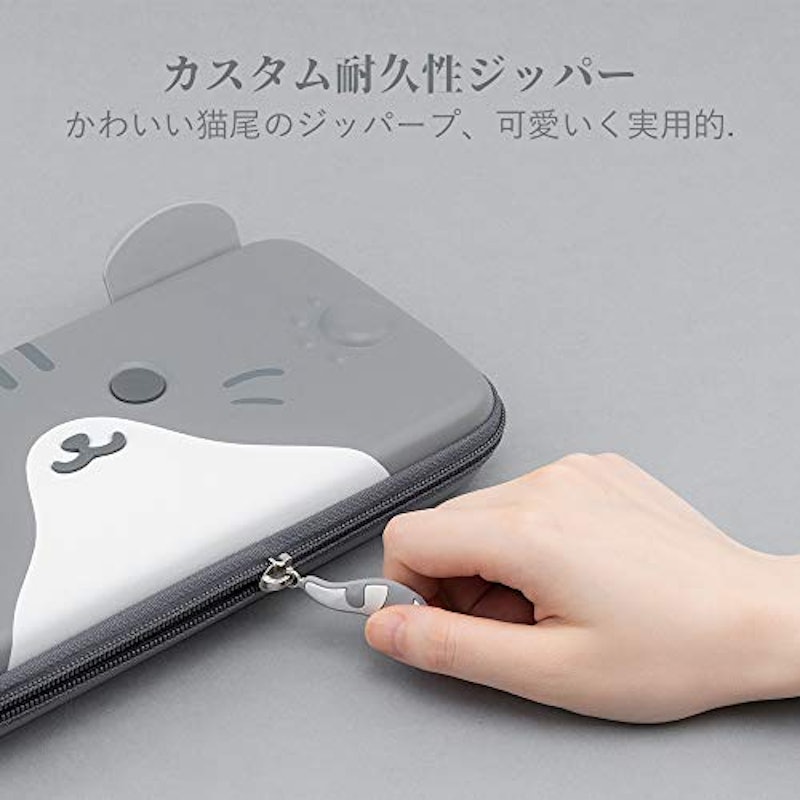Switch ケース 4