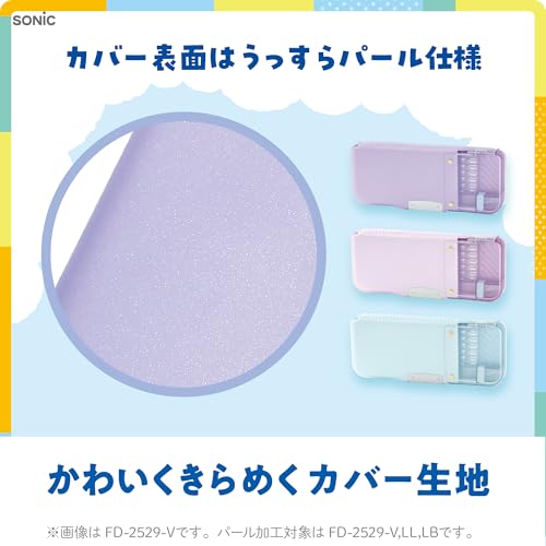 えんぴつチェックα両面筆入 ロック付 6