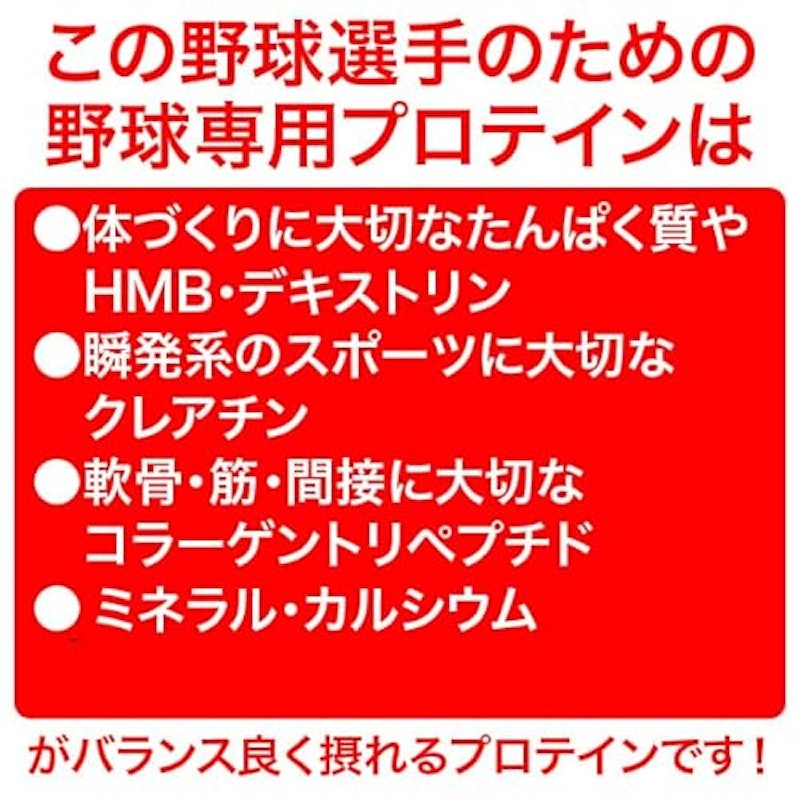 パーフェクトプロテイン 2