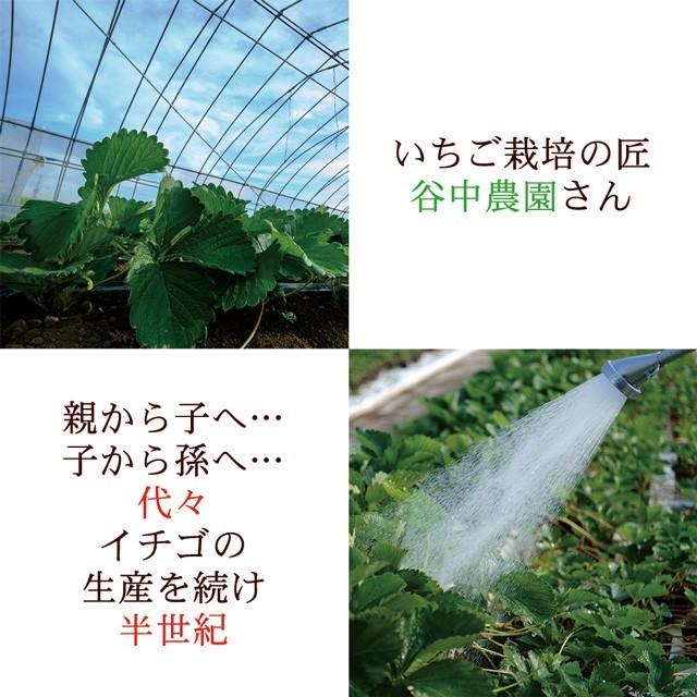 スカイベリー 9