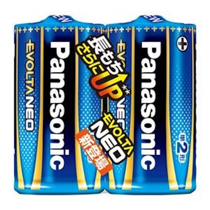 アルカリ乾電池 単2形 2本入 業務用20セット 1