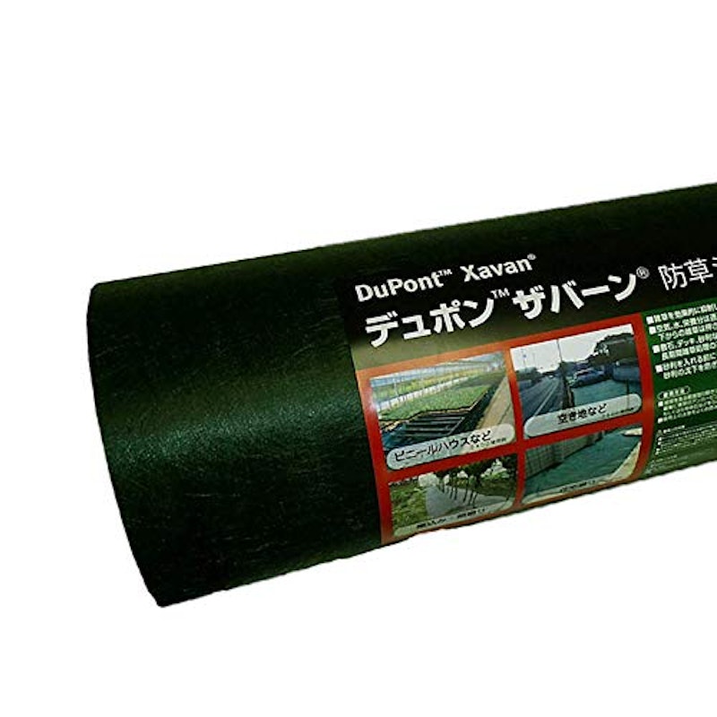 ザバーン 1