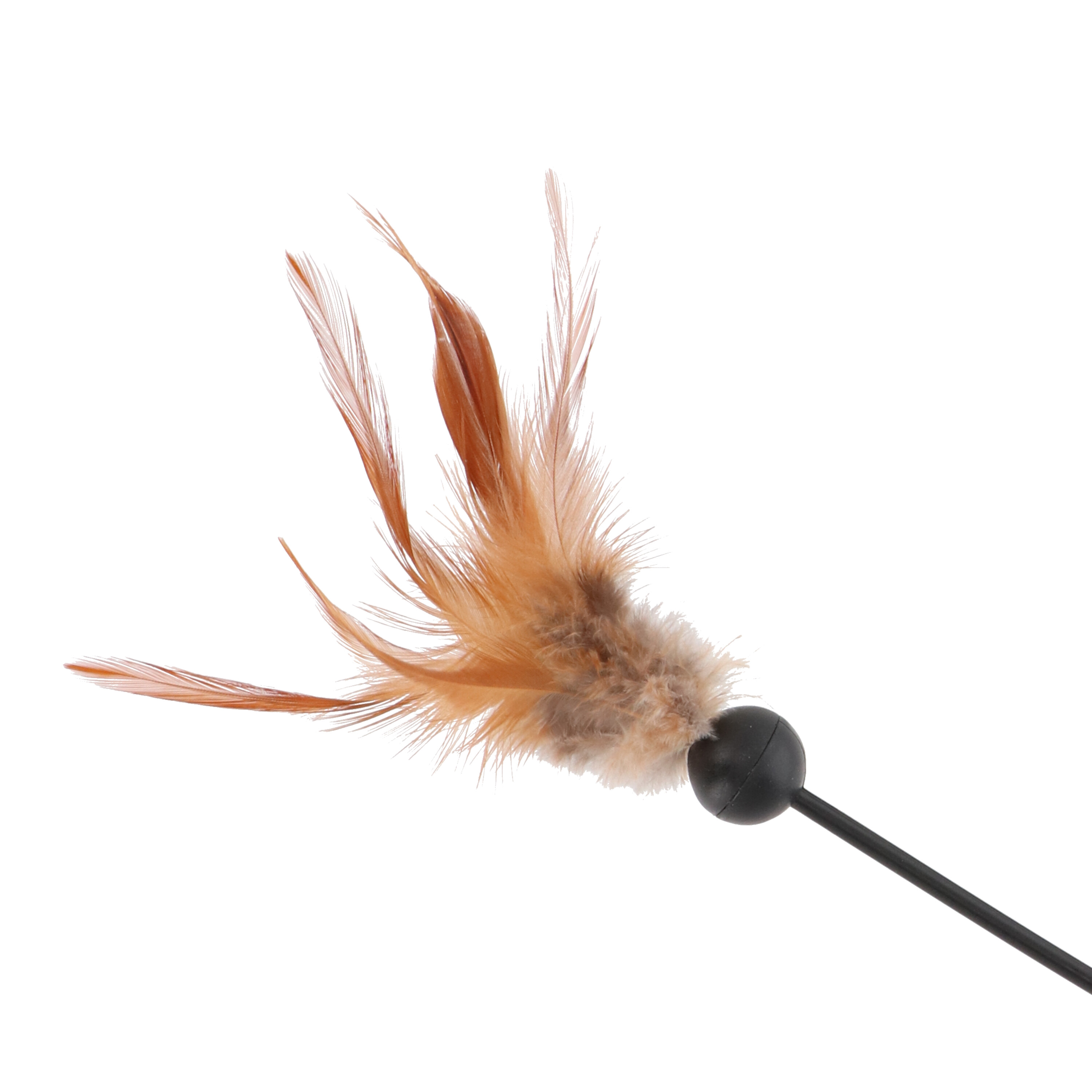 猫壱 キャッチ・ミー・イフ・ユー・キャン2をレビュー！クチコミ・評判