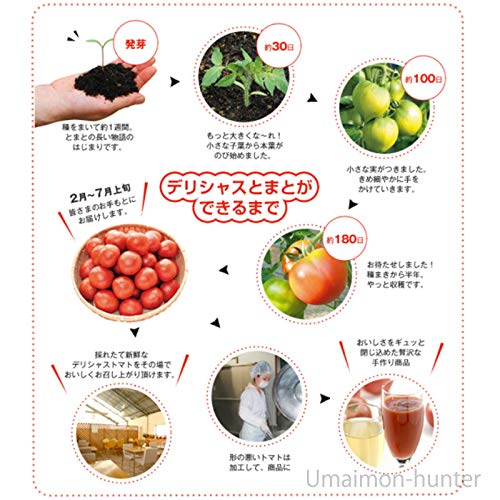 トマトゼリー 6