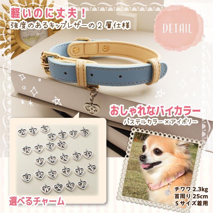 未使用 ティファニー ペット用 首輪 Sサイズ レザー 革 ライトブルー