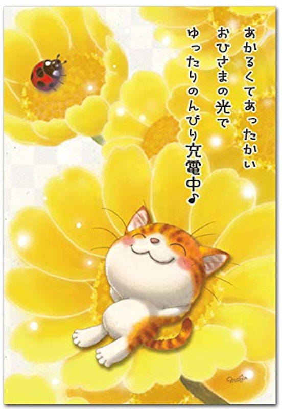 今日もいい天気ポストカード 1