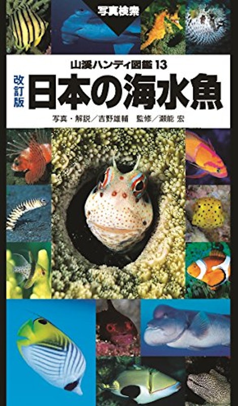 山溪ハンディ図鑑 改訂版 日本の海水魚 1