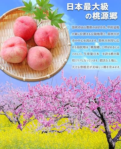 笛吹の桃・特大 5
