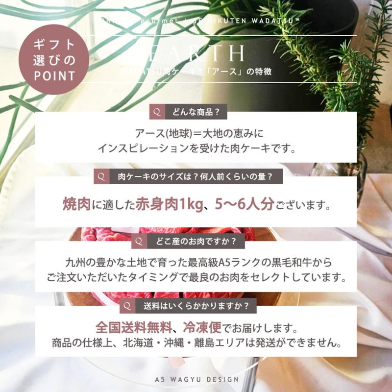 WADATSU 肉ケーキ「アース / EARTH」 2