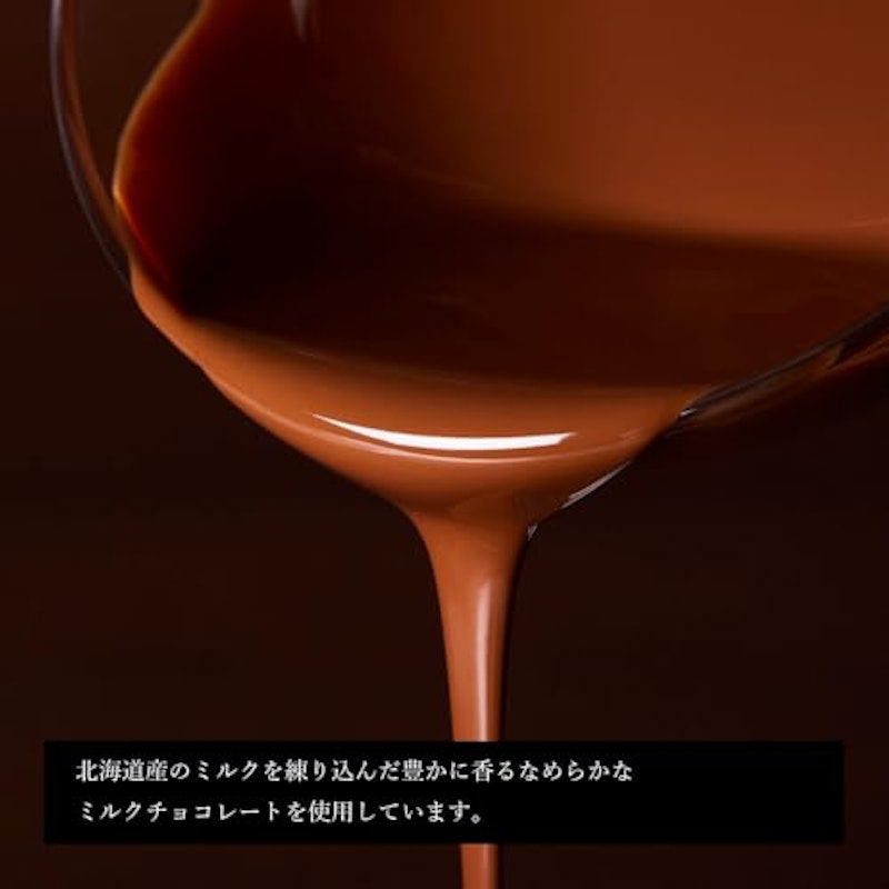 開拓の詩 三枚重ねチョコがけクッキー 4