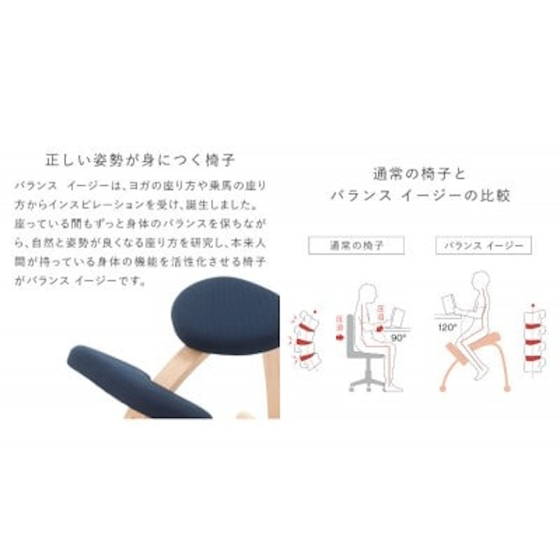 バランスイージー 通常フレーム カバーつき 2