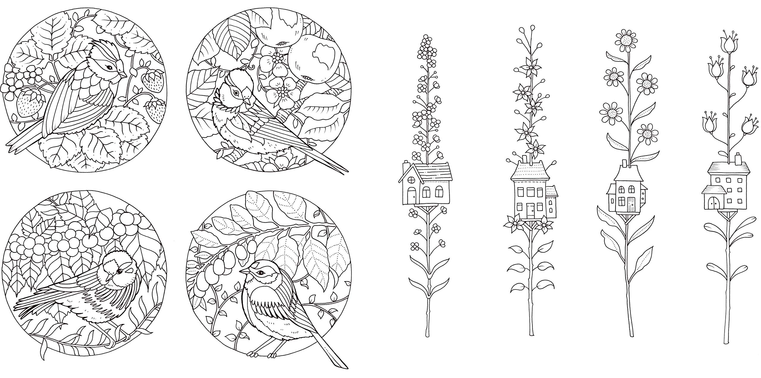 21年 大人用塗り絵のおすすめ人気ランキング選 Mybest