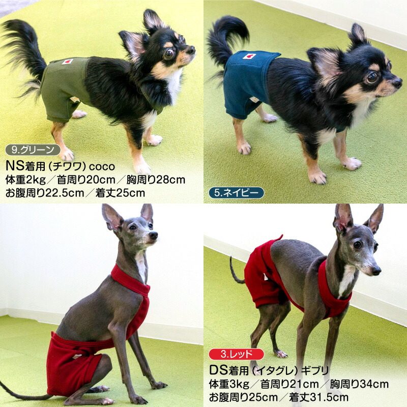 マナーパンツ 5