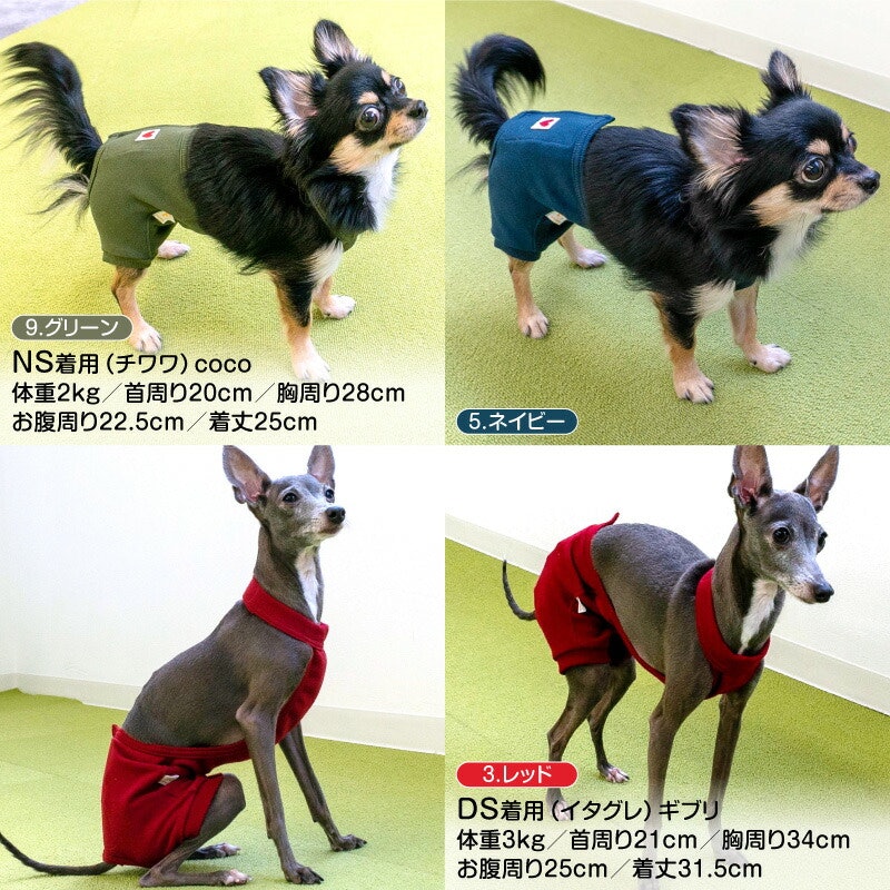 マナーパンツ 5