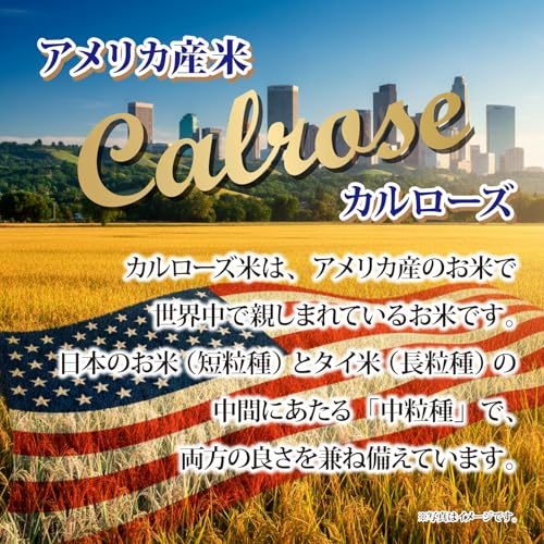 ミツハシ カルローズ 2