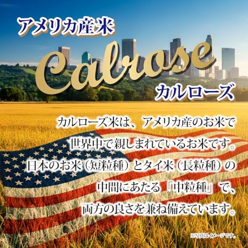 ミツハシ カルローズ 2