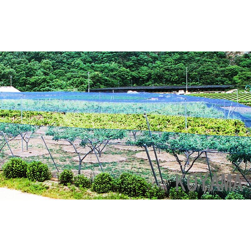 防鳥網 3