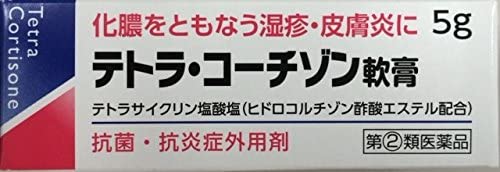 テトラ・コーチゾン軟膏 1