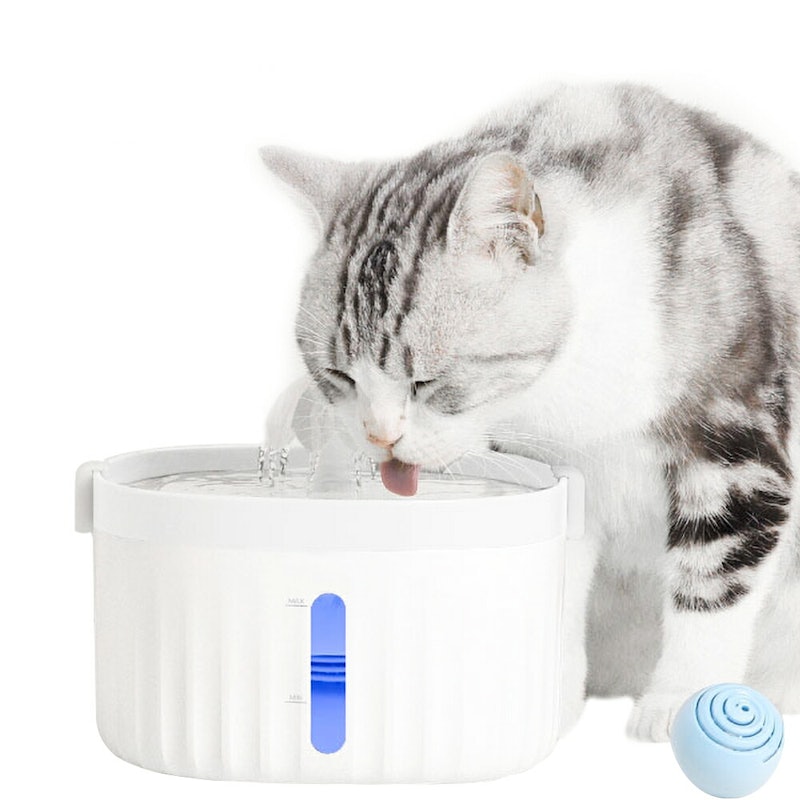 21年 猫用自動給水器のおすすめ人気ランキング14選 Mybest 21年 猫用自動給水器のおすすめ人気ランキング14選 Mybest