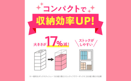 スコッティティシューフラワーボックス 4