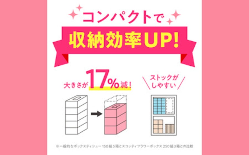 スコッティティシューフラワーボックス 4