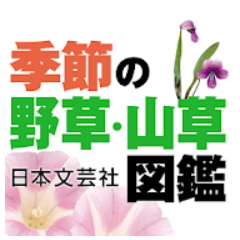 植物図鑑アプリのおすすめ人気ランキング選 Mybest