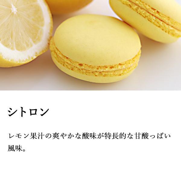  マカロン 4