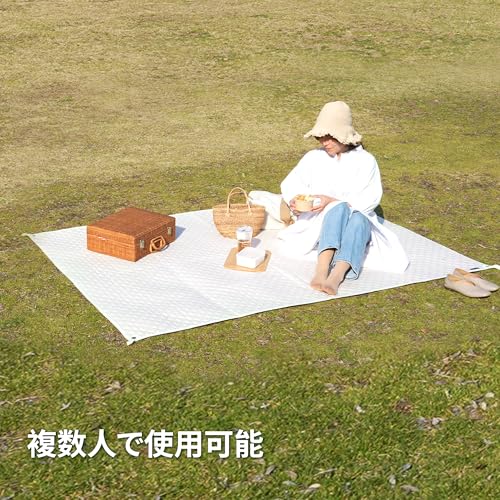 レジャーシート 2