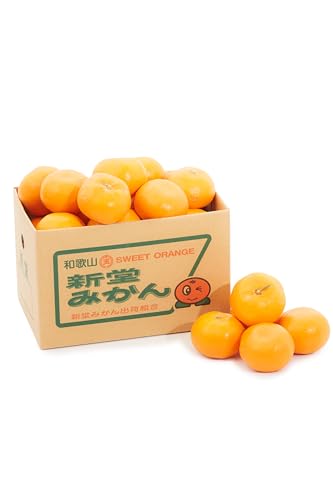 新堂みかん 1