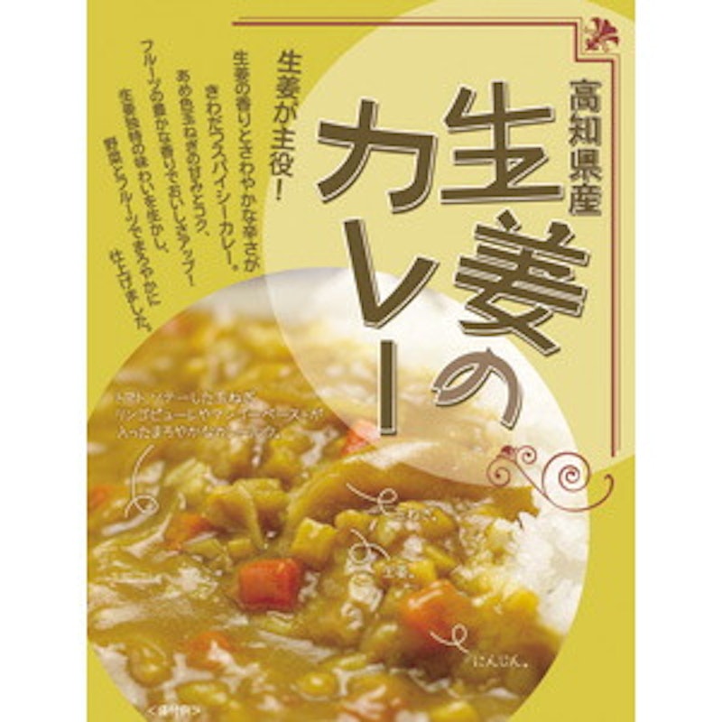 生姜のカレー 1