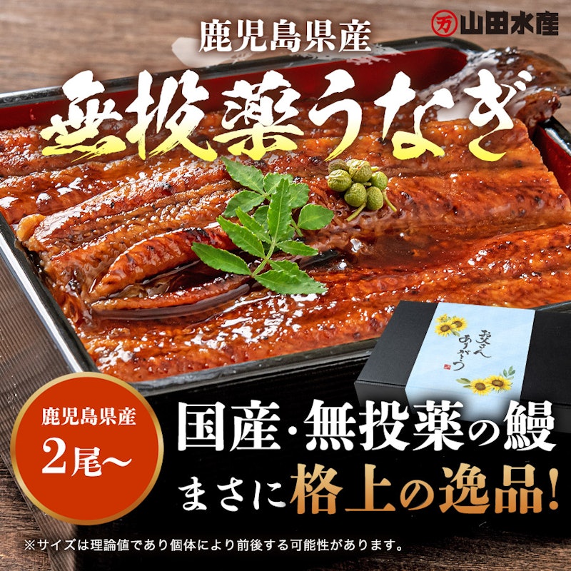 うなぎ蒲焼 2