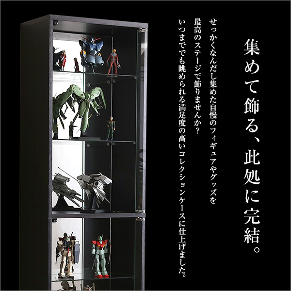 コレクションケース 2