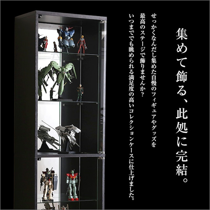 コレクションケース 2