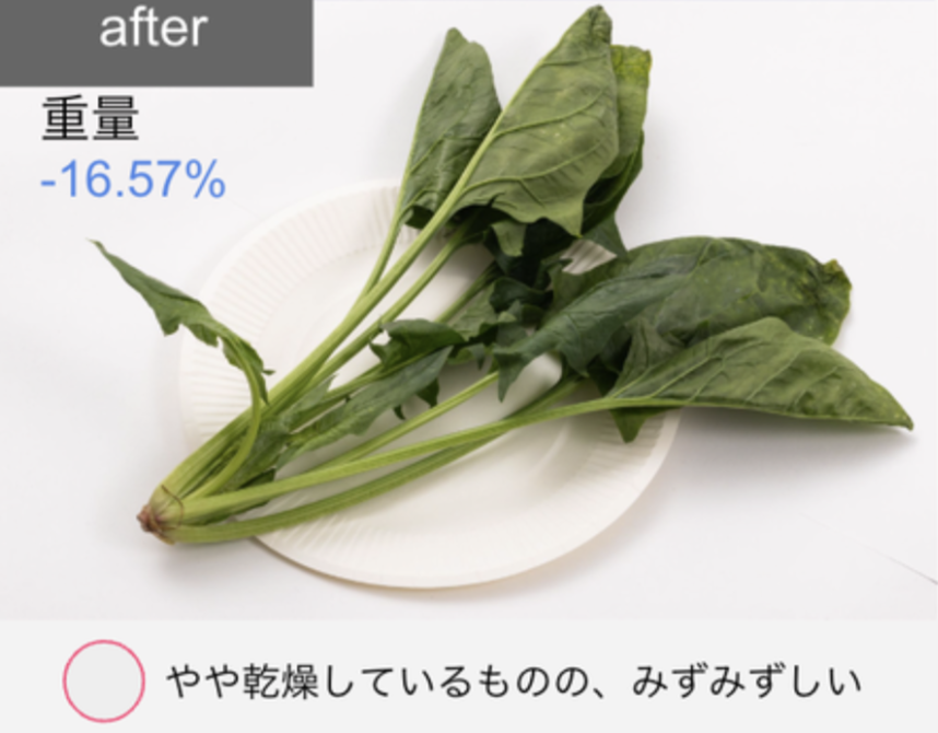 冷蔵庫 22