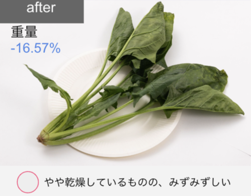 冷蔵庫 22