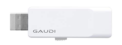 GAUDI USBメモリ 1