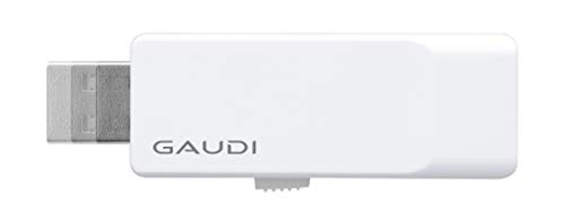 GAUDI USBメモリ 1