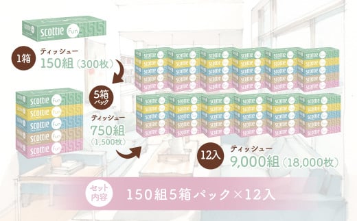スコッティ ティシュー ファン 7