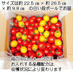 2022年】お取り寄せトマトのおすすめ人気ランキング37選 | mybest