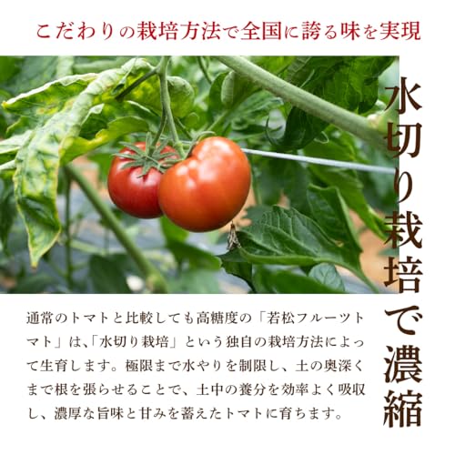 福岡県産 若松フルーツトマト 3