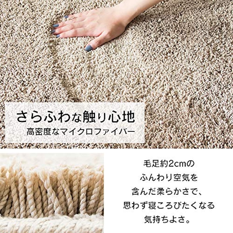 シャギーラグ 3