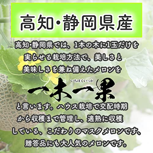 マスクメロン 3