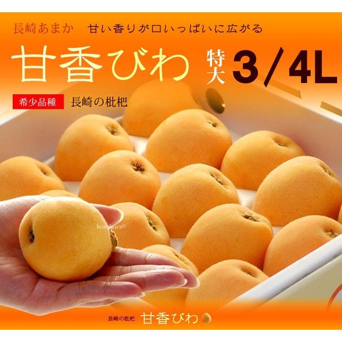 甘香びわ 3