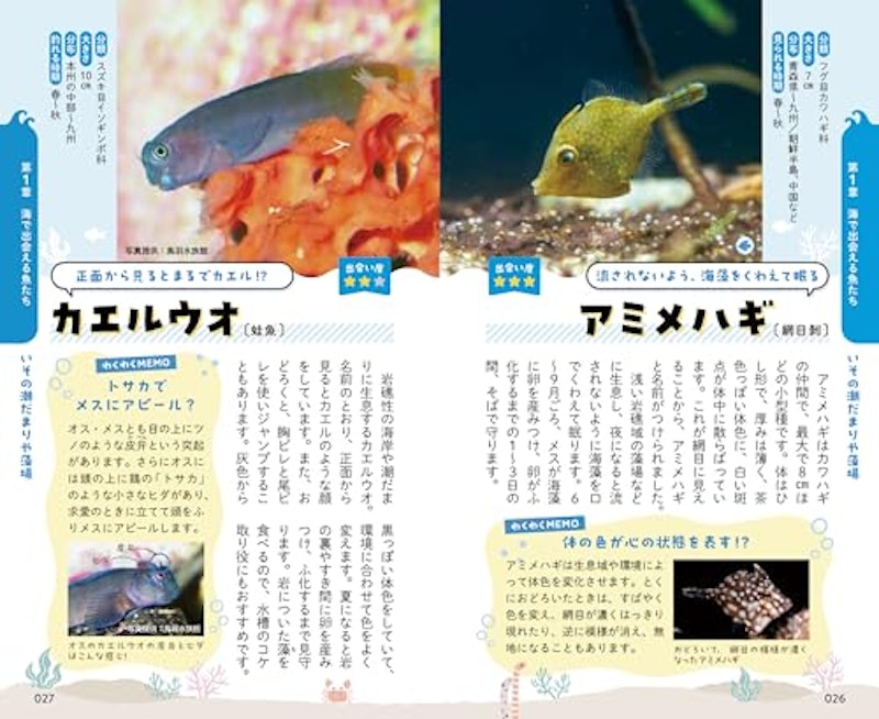 出会った魚がわかる図鑑 6