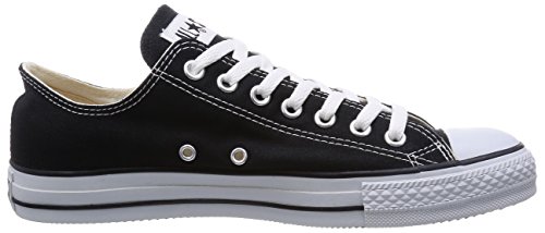 CANVAS ALL STAR OX 6