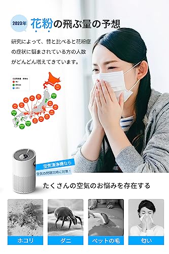 卓上空気清浄機のおすすめ人気ランキング【2025年】 | マイベスト 卓上空気清浄機のおすすめ人気ランキング【2025年】 | マイベスト
